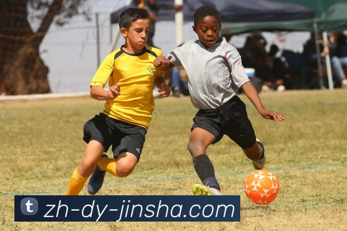 金沙官网品牌故事